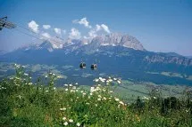 Der Martinshof Bild 45